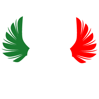 GIO__11's emblem
