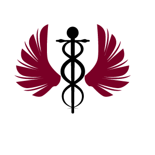 Aim1Fame's emblem