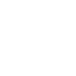 2104Marcus's emblem