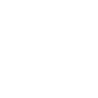 bronixx1's emblem