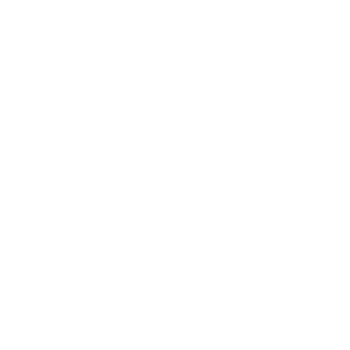metrudev's emblem
