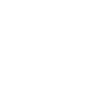 97ToyotaCorolla's emblem