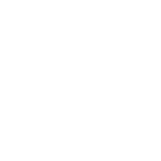 2kSquirrelArmy's emblem