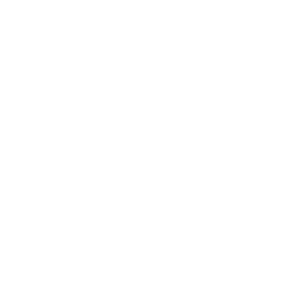 iDtfv2's emblem