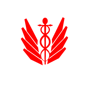 0-SKYPE-0's emblem