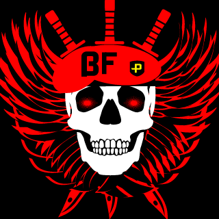 SoIdieR13t's emblem