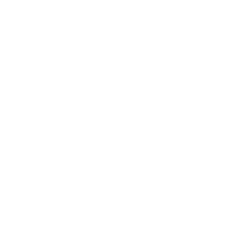 quycksilver's emblem