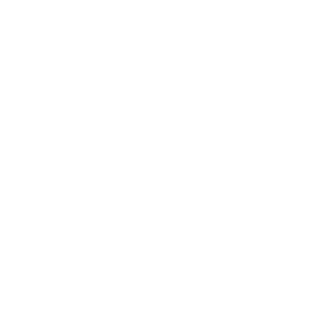 detdulya's emblem