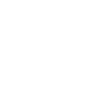 vikingactual03's emblem
