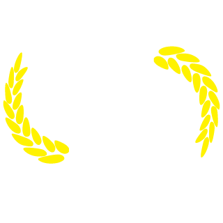 SoloStarter123's emblem