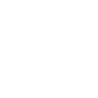 vegaviking's emblem
