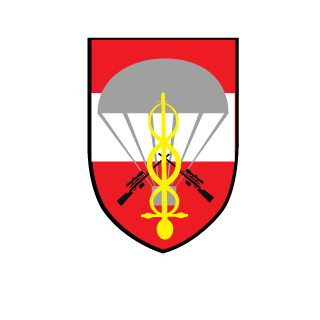 aschesklaveaut's emblem