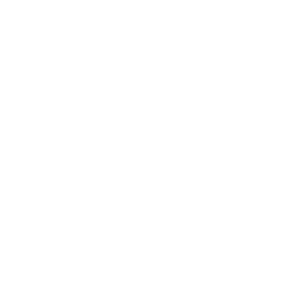 depressorX's emblem