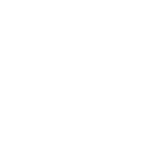 AxFuury's emblem