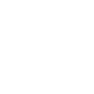 sebaz1111's emblem