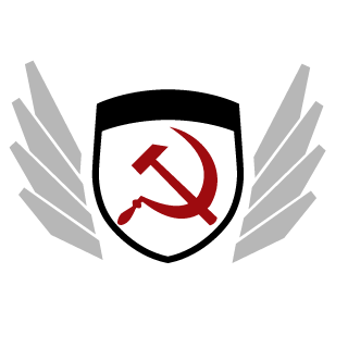 21VIKING21's emblem