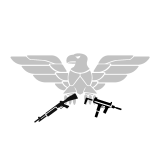 CMDR_short's emblem
