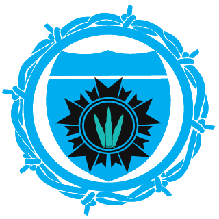 skeptik_tV's emblem