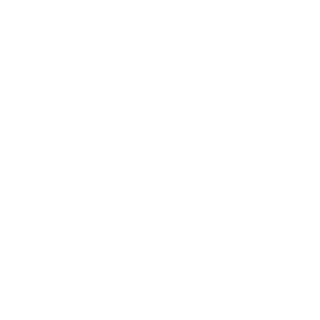 fidan333's emblem