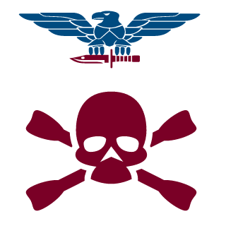 333FIURY333's emblem