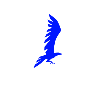 Sirhc99's emblem
