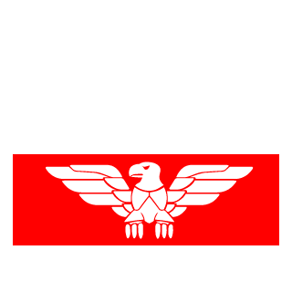 RAQU82's emblem