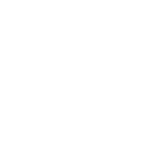 Pd9Sky's emblem