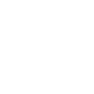 Sonntag-DE's emblem