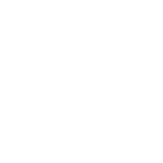 ShtaketSPB's emblem