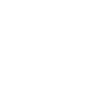 SNOWHAWK1's emblem