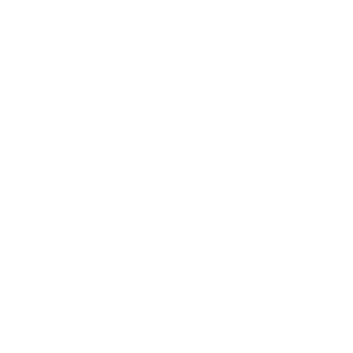Cannotlose99's emblem