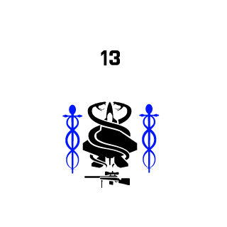 GISR's emblem