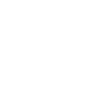 731-Rambo's emblem