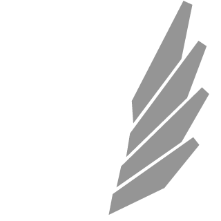LlmitedEdition's emblem