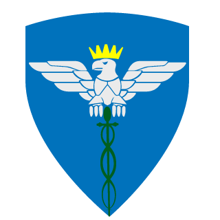 DodgeThisTV's emblem