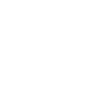 -NTC-MrLexus's emblem