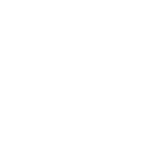 AntiNobsBR's emblem
