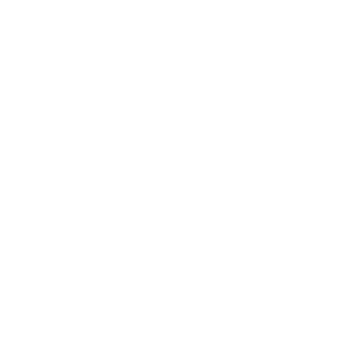 TN_StepzZz's emblem