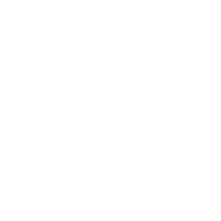 Vizzerochek's emblem