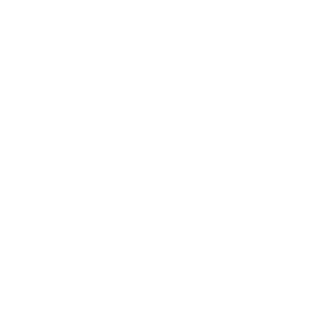BLJR808's emblem