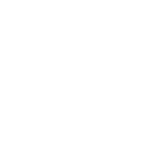 HomeMadeFrog's emblem
