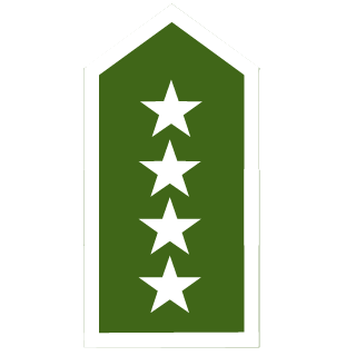RicoNT998's emblem