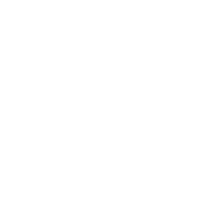 Shingo3000's emblem
