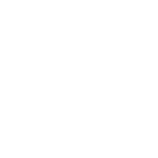 troubletimes's emblem