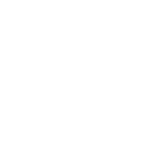 CybersenpaiX's emblem