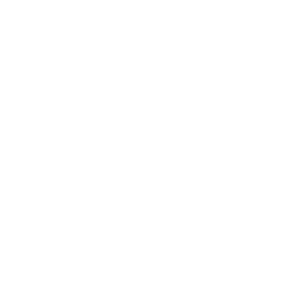 Ironmaidencrazy's emblem