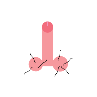 TPF_Hu's emblem