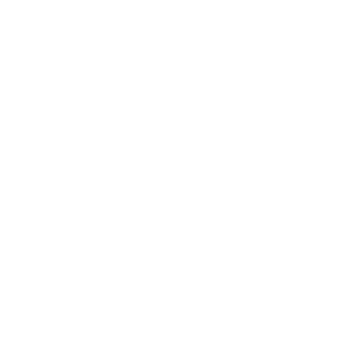 ShTURMENT's emblem