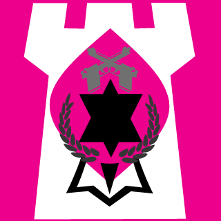 0o_asuka_o0's emblem