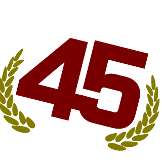 D45_P4nz3r's emblem